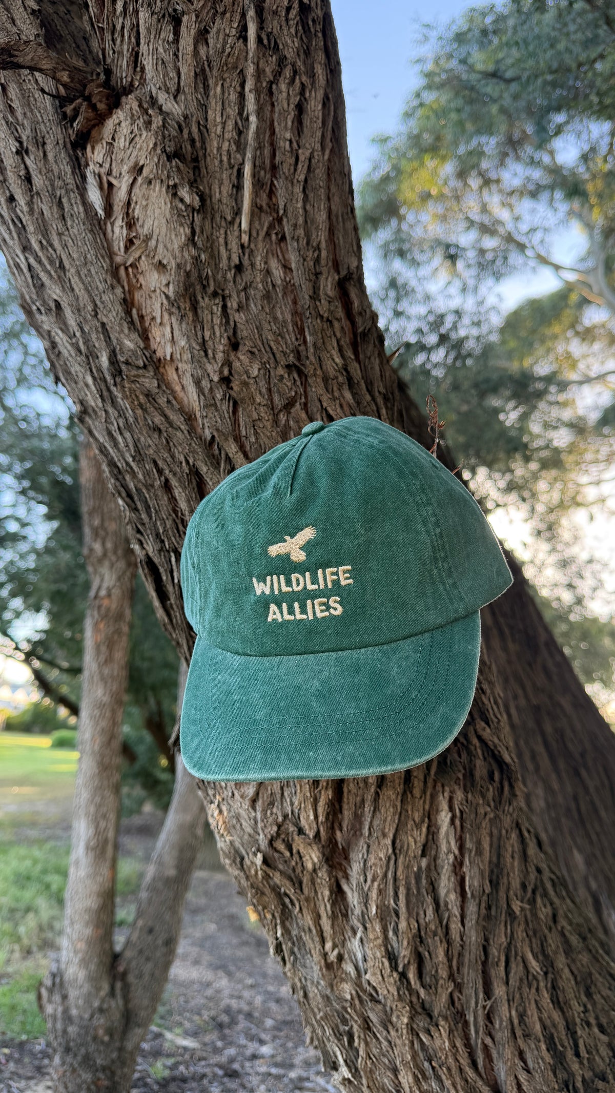 Wildlife Allies vintage washed cap