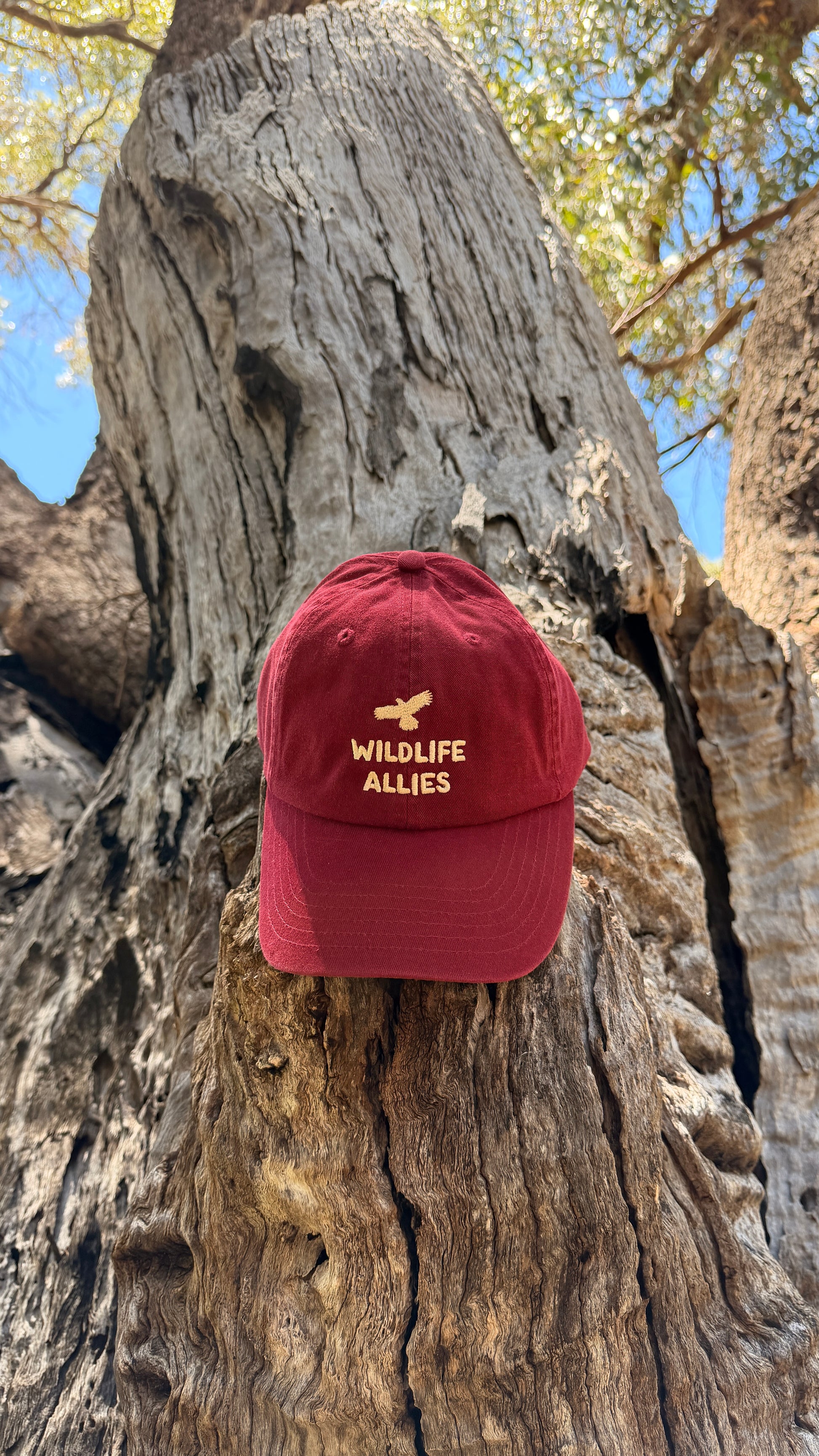 Wildlife Allies Buckle Dad hat