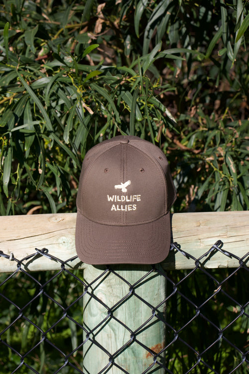 Wildlife Allies Cap
