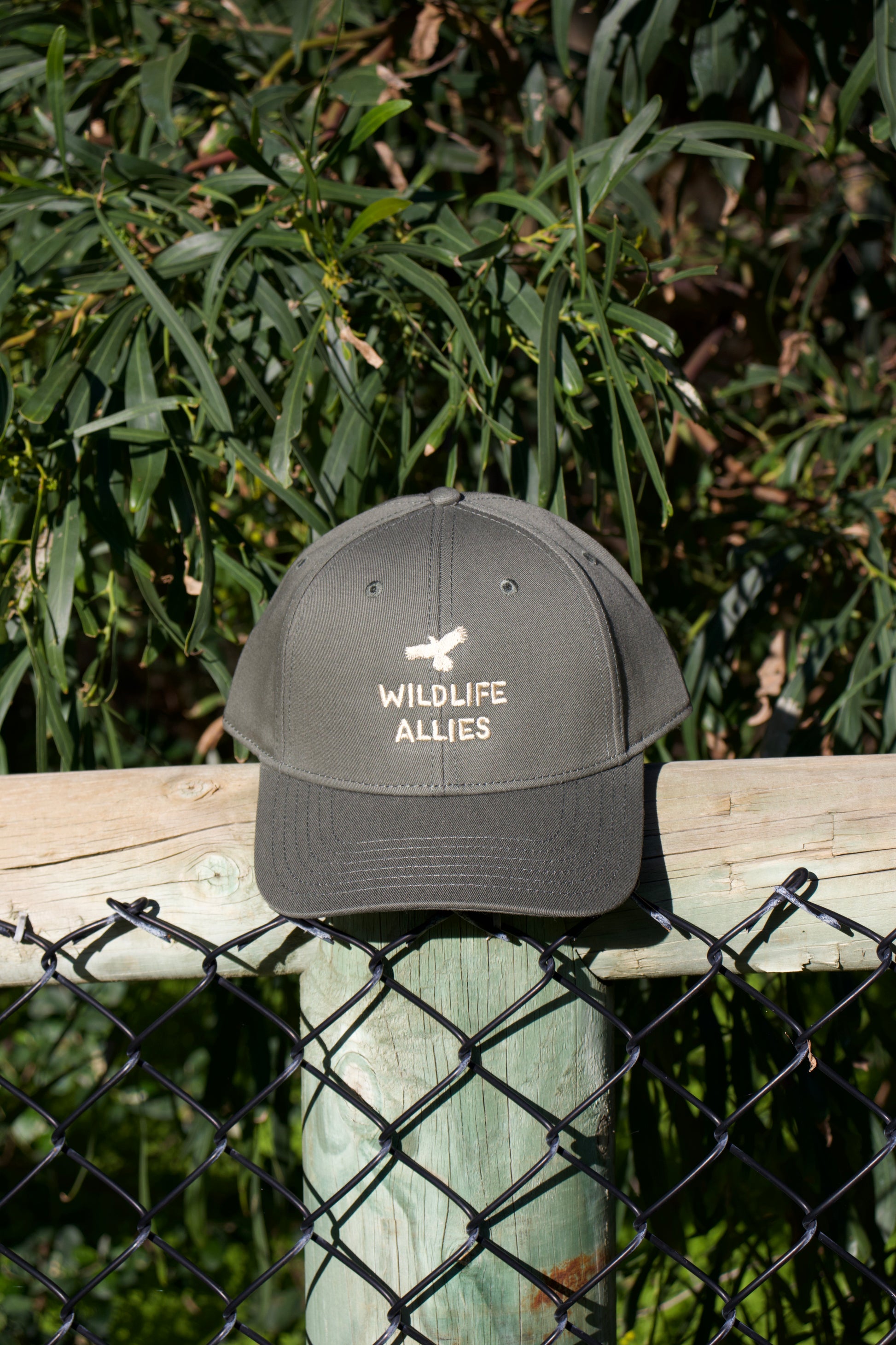 Wildlife Allies Cap