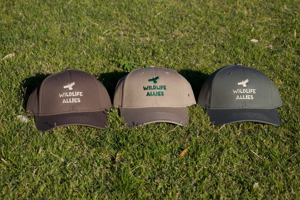 Wildlife Allies Cap