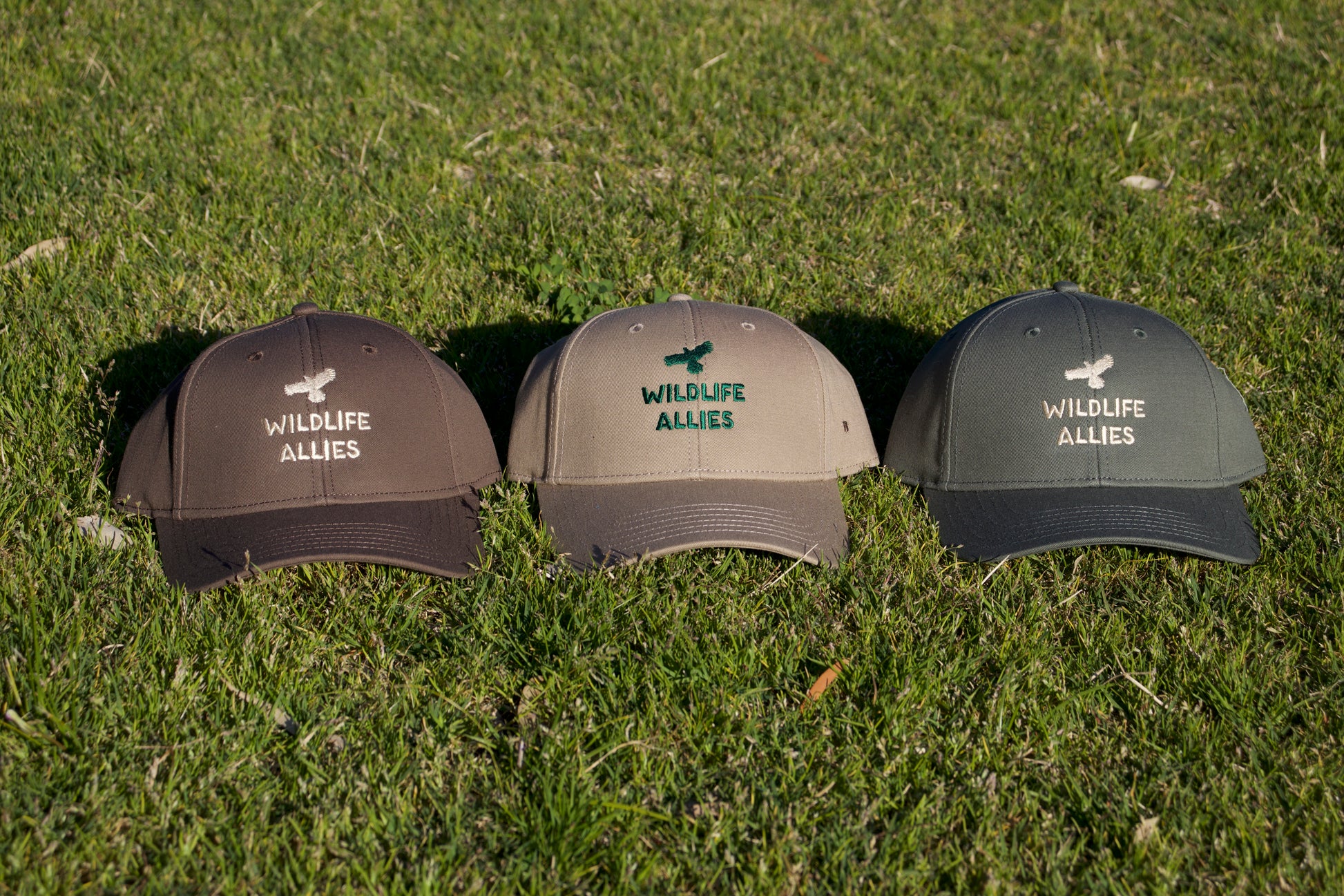 Wildlife Allies Cap